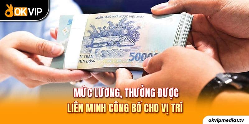 Mức lương, thưởng được liên minh công bố cho vị trí