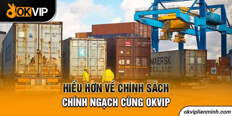 Hiểu hơn về chính sách chính ngạch cùng OKVIP 