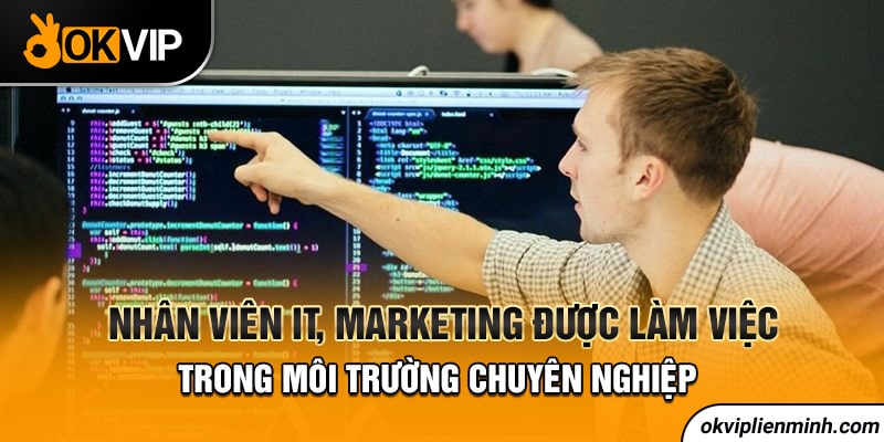 Nhân viên IT, Marketing được làm việc trong môi trường chuyên nghiệp