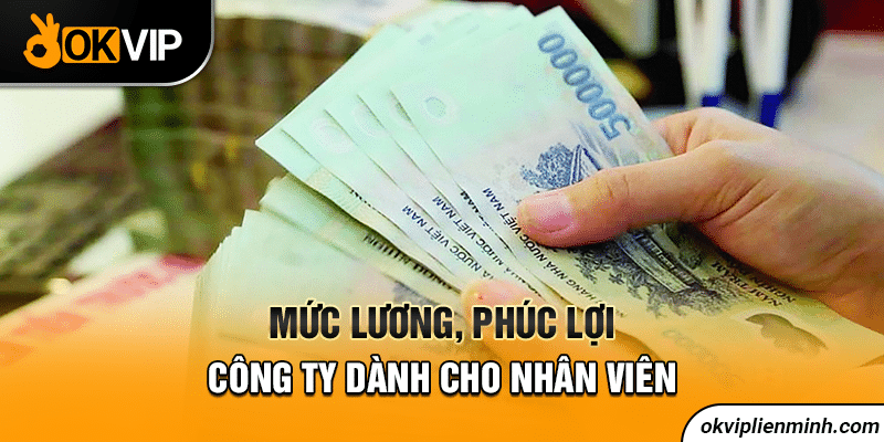 Mức lương, phúc lợi công ty dành cho nhân viên