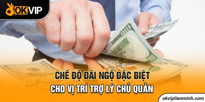 Chế độ đãi ngộ đặc biệt cho vị trí trợ lý chủ quản