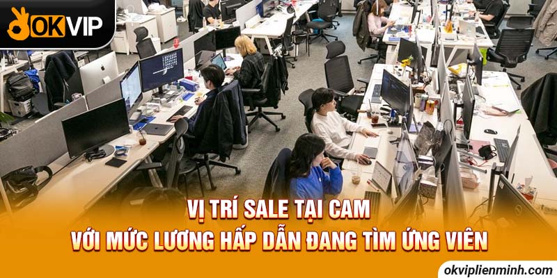 Vị trí sale tại Cam với mức lương hấp dẫn đang tìm ứng viên