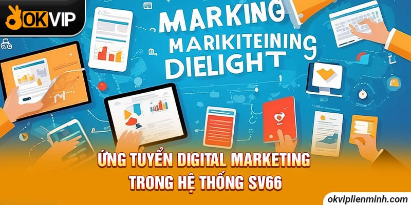 Ứng tuyển Digital Marketing trong hệ thống SV66